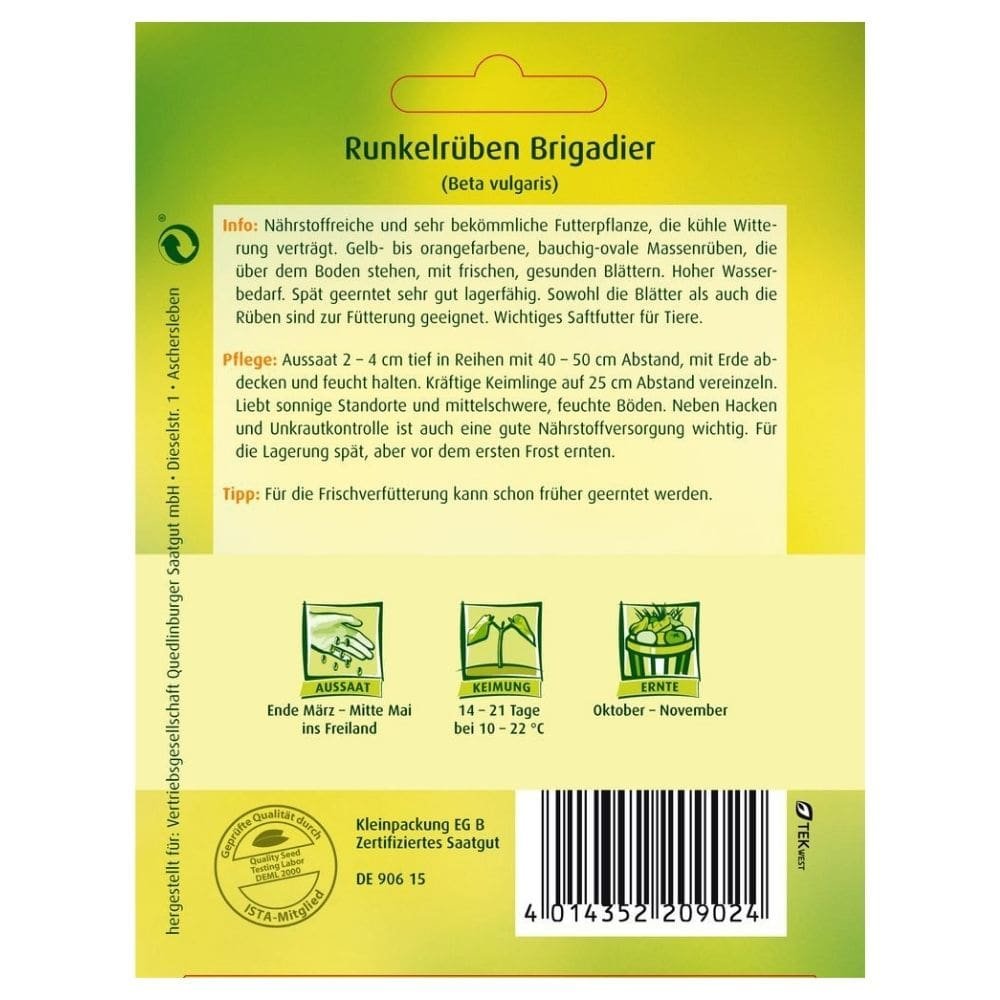 Barbabietola da foraggio, Brigadiere 25g-0