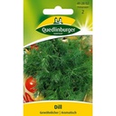 Dill, Comune