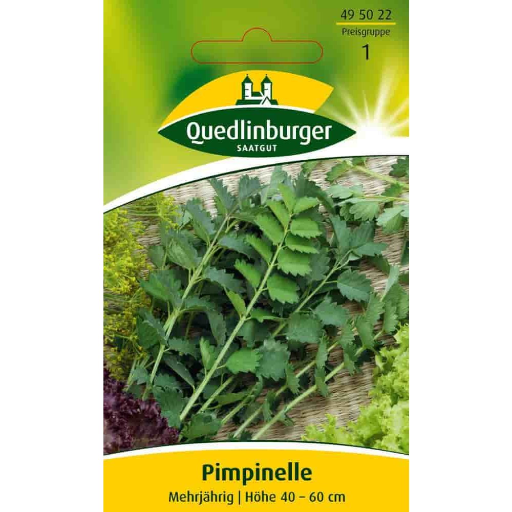 Pimpinella