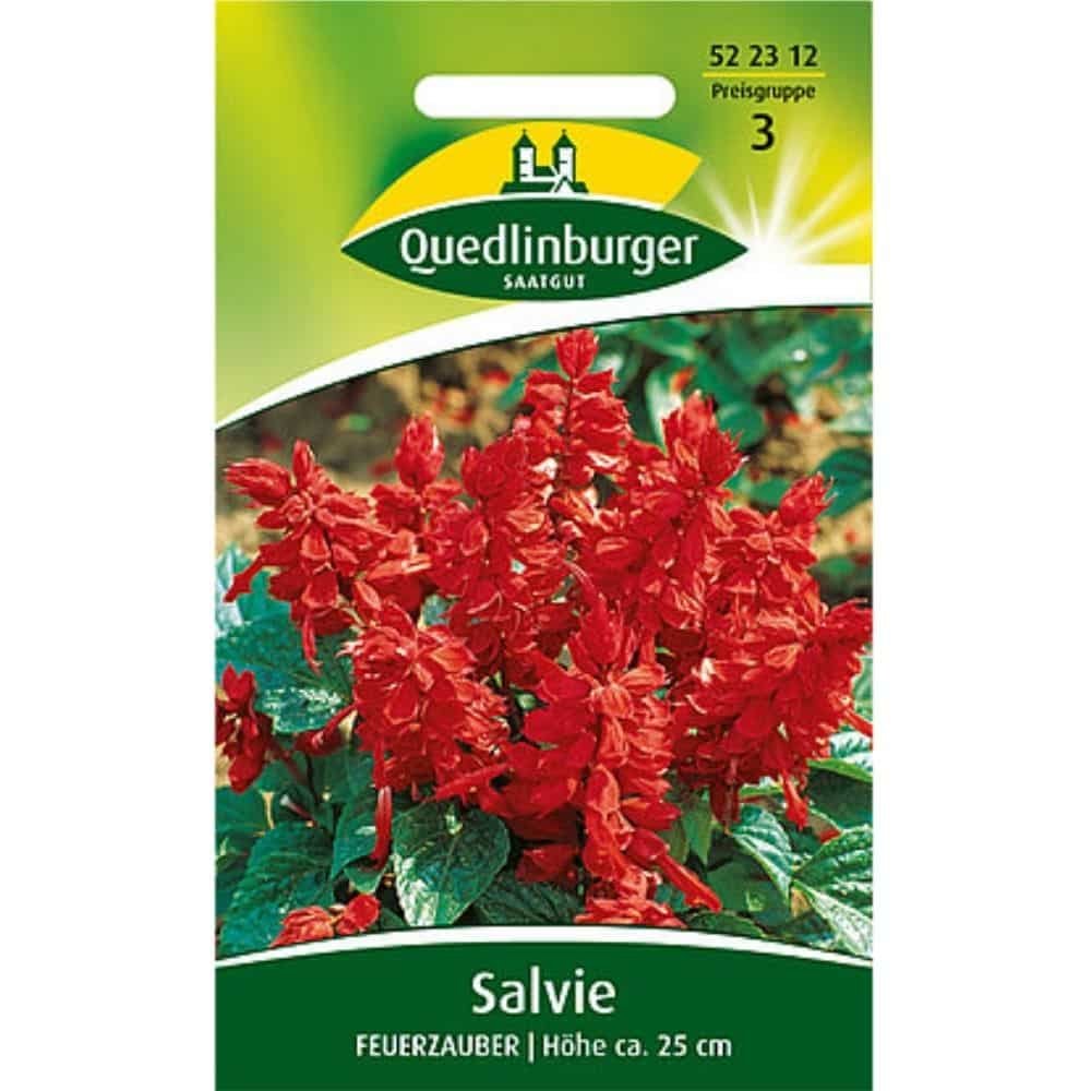 Salvia, Incantesimo di Fuoco