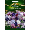 Aquilegia, Miscela Barlow Choice