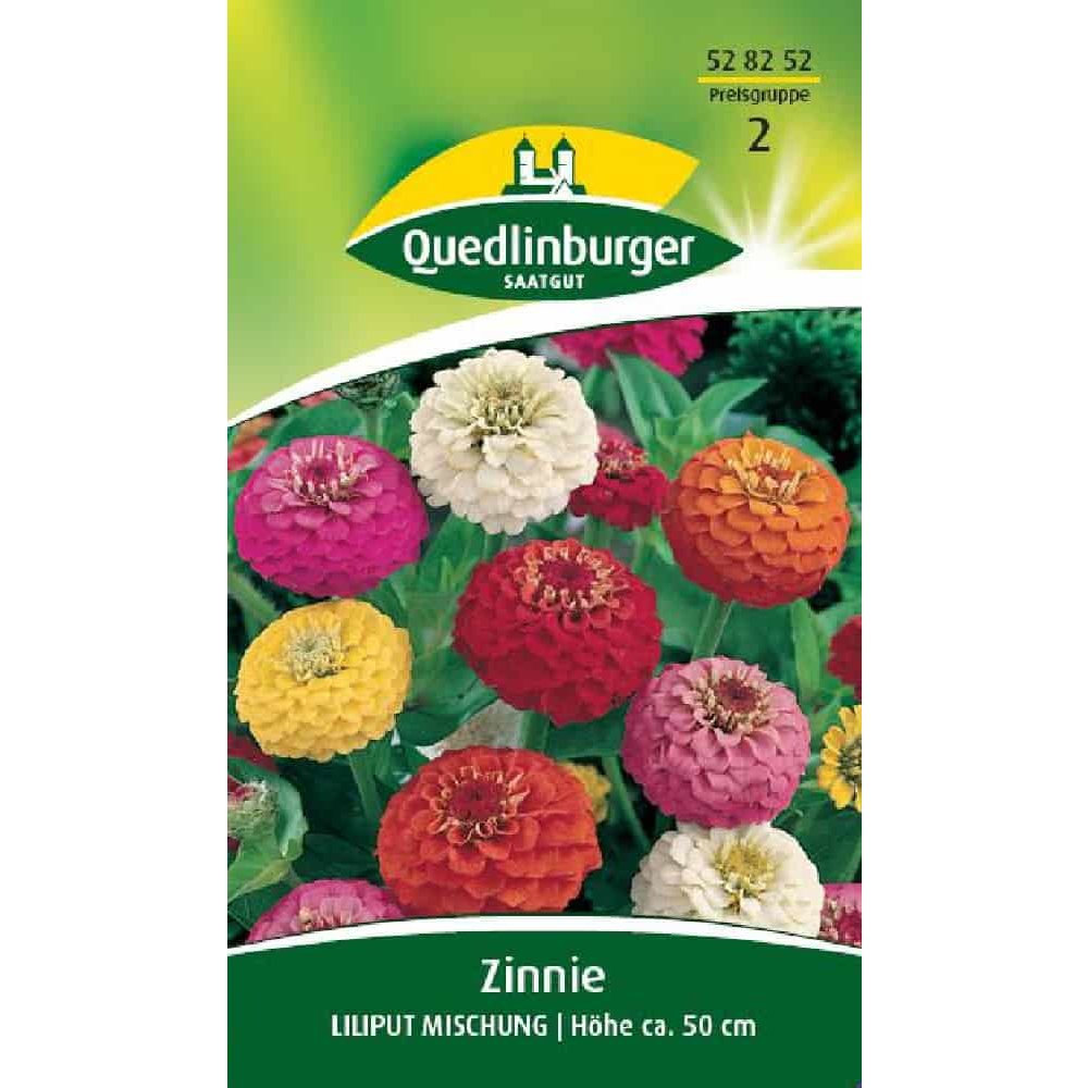 Zinnia, Miscela Liliput